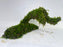 * Plants* Moss on driftwood #01