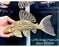 * Pleco *  Panaque armbrusteri (L27B Xingu) 28cm #27b28 (Actual piece)