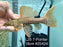 * Pleco * Pseudacanthicus Pirarara (L25 7 Pointer) 18cm #25X24 (Actual piece)