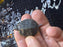 * Other Species * Charcoal Red Ear Slider (RES) Terrapin