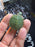* Other Species * Red Ear Slider (RES) Terrapin