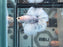 * Betta * DTHM Doubletail Halfmoon (Actual Fish) #43