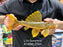 * Pleco * Scobinancistrus sp. (L14 Sunshine Pleco) 27cm #14005 (Actual Piece)