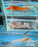 * Shrimps *  Assorted Crayfish (Orange / White / Blue)