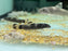 * Other Species *  Garra Flavatra (Panda Garra) 4-6cm