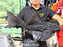 * Pleco * Pseudacanthicus Major L186 (52cm) #18601 (Actual Piece)
