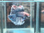 * Betta * DTHM Doubletail Halfmoon (Actual Fish) #50