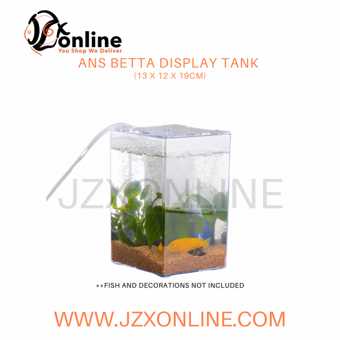 ANS Betta Display Tank (13 x 12 x 19cm)