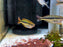 * Tetra/Barb  * Chilatherina alleni (Alleni rainbowfish) 5cm