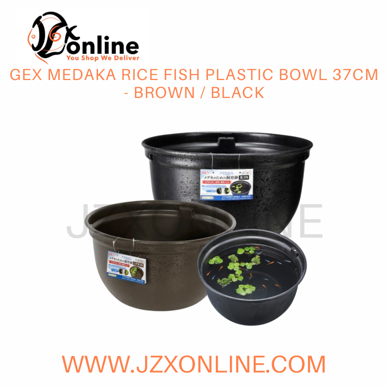 GEX Medaka Rice Fish Plastic Bowl 37cm - Brown / Black