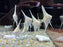 * Discus/Angelfish * Pterophyllum sp. (Dantum angelfish) 4-5cm