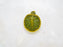 * Other Species * Trachemys scripta elegans ABERRANT 🦚 (Peacock Pastel Terrapin)