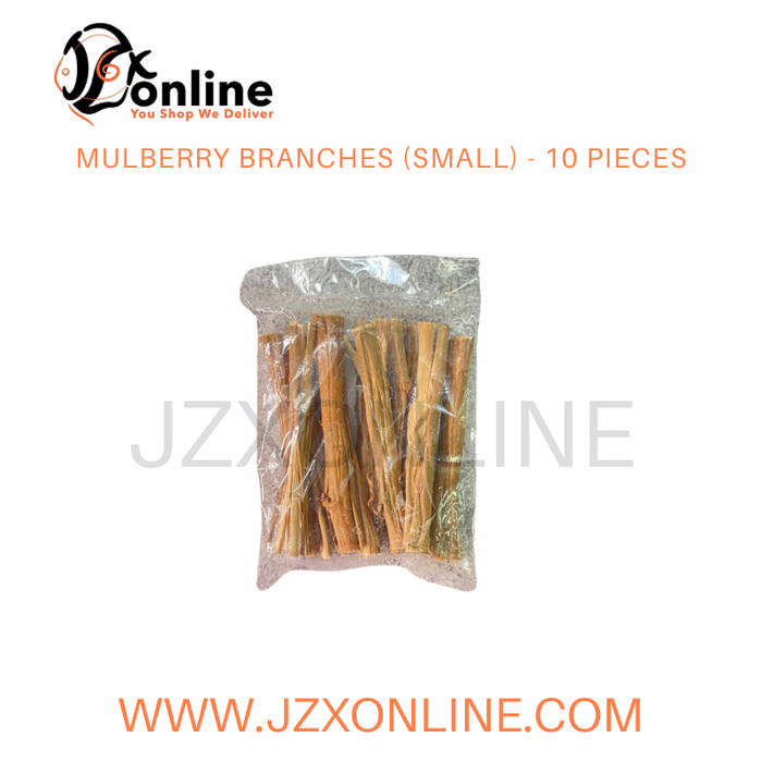 MULBERRY BRANCHES (Small) - 10 pieces