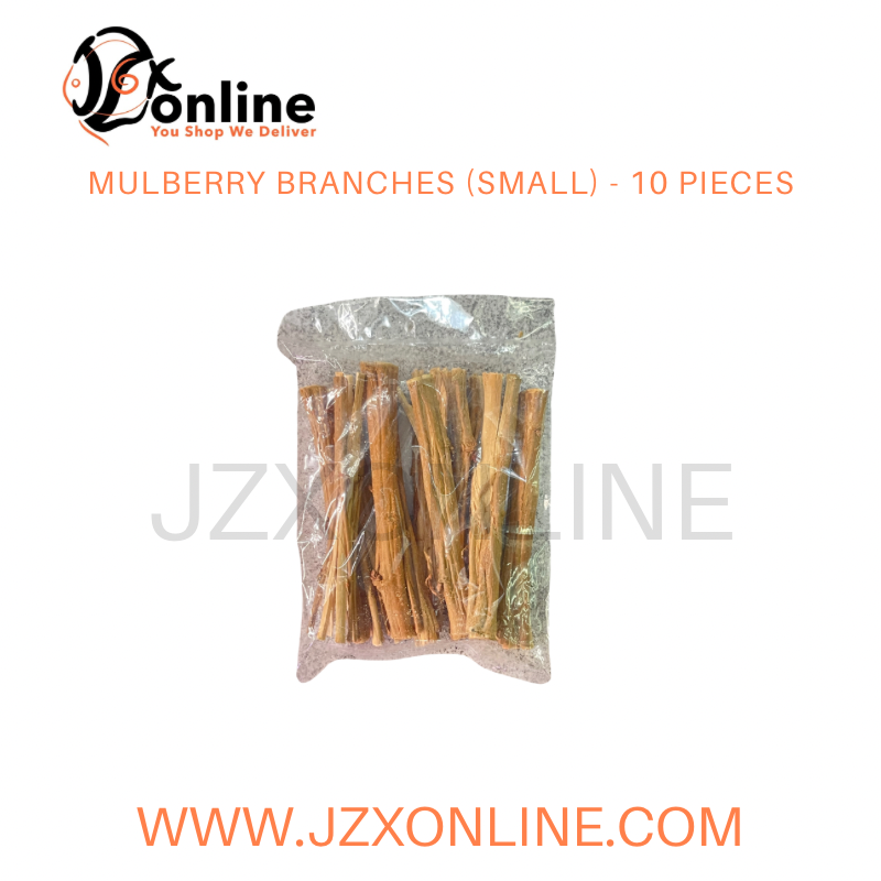 MULBERRY BRANCHES (Small) - 10 pieces