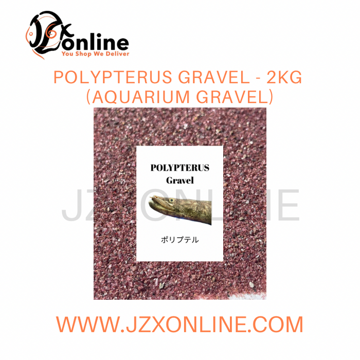 Polypterus Gravel - 2kg