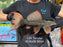 * Pleco *  Pseudacanthicus pitanga L24 Tucurui #24TU08 30cm (Actual piece)