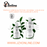 TROPICA Carbon Nutrition 125/300ml (Liquid CO2 Supplement for Aquarium Plants)