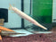 * Other Species * Lepisosteus platyrhincus ALBINO (Albino Florida Gar) 8-10cm
