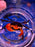 * Shrimps * Scandarma splendidum (Volcano crab)