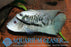 * Cichlids * Mayaheros beani (Green Guapote) 6-8cm