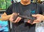 * Pleco *  Hypostomus Roseopunctatus 20-22cm