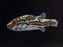 * Other Species * Carinotetraodon salivator (Striped red eye puffer) 3-4cm