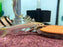 * Catfish *  Mystus Prabini 12-14cm