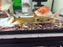 * Catfish *  Horabagrus brachysoma (Sun Catfish)