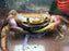 * Shrimps * Cardisoma Carnifex (Brown Land Crab)