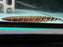 * Other Species * Gymnotus javari (Tiger Knifefish) 14-16cm