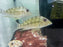 * Cichlids * Satanoperca Leucosticta 6-8cm