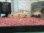 * Cichlids * Apistogramma sp. Nijsenni Pair