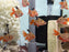 * Tetra/Barb * Serpae Tetra “Long Fin” 3-4cm