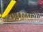 * Other Species * Gastromyzon Praestans (Gold Zebra Borneo sucker) 5-7cm