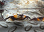 * Shrimps * Lepidothelphusa sp. Orange Arm (2-3cm)