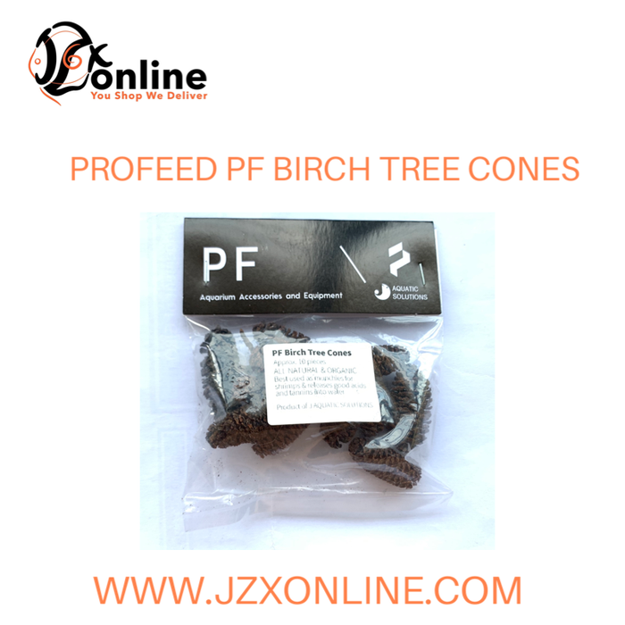 PROFEED PF Birch Tree Cones (~10pieces)