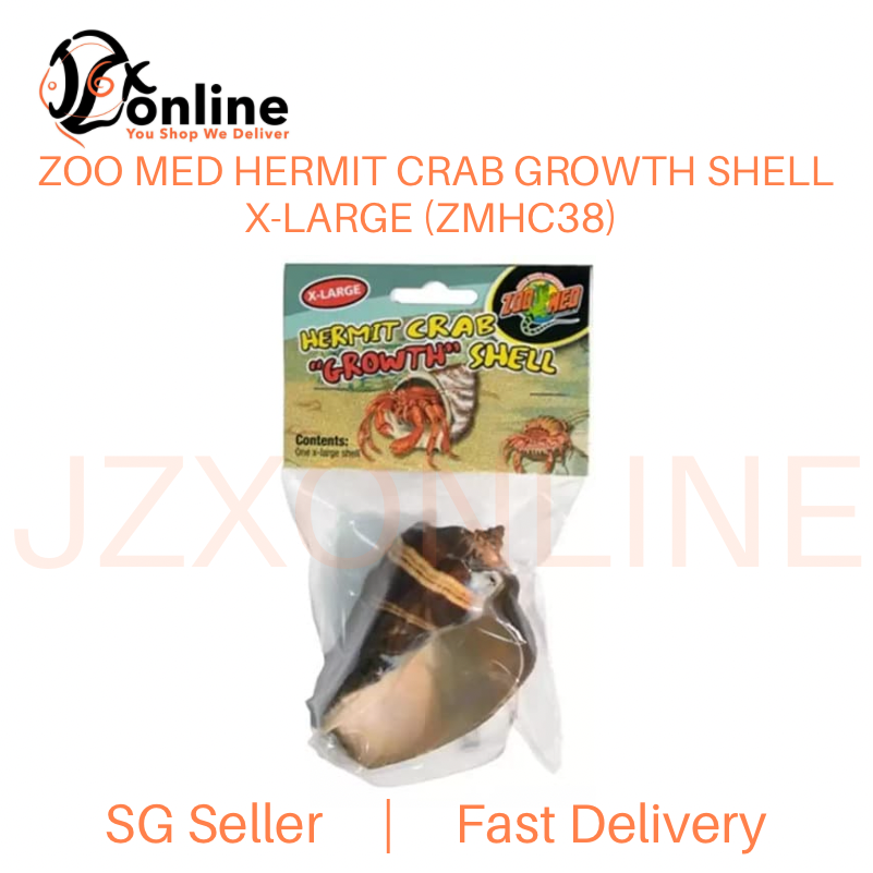 ZOO MED Hermit Crab Growth Shell X-Large (1 Shell/Pack) (ZMHC38)