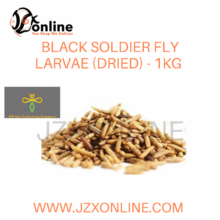Dried Black Soldier Fly Larvae - 1kg (By: BSF Agri-Technology Singapore)