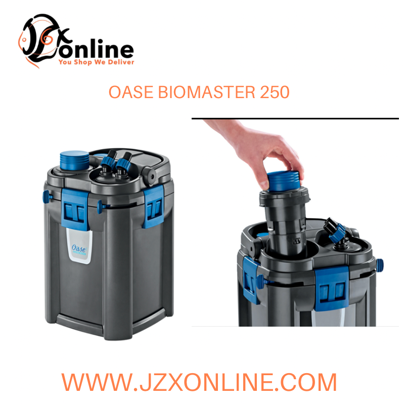 OASE BioMaster 250
