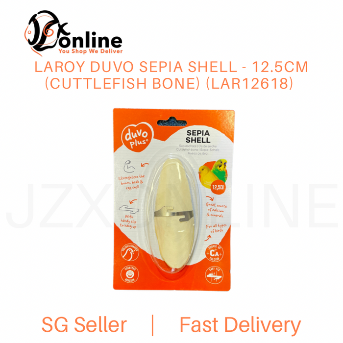 LAROY DUVO Sepia Shell - 12.5cm (Cuttlefish Bone) (LAR12618)