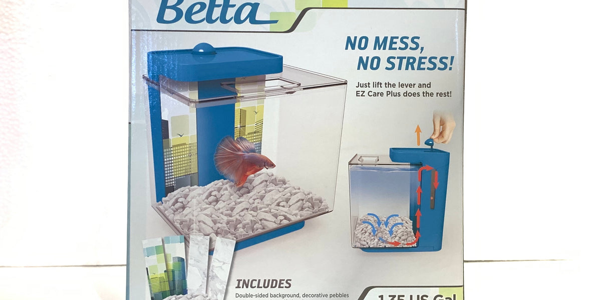 Aquarium betta hotsell ez care