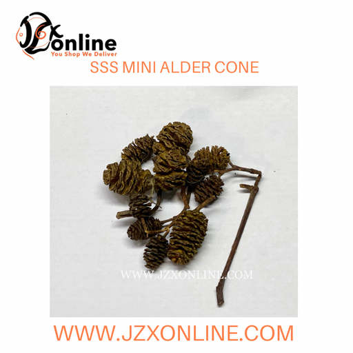 SSS Mini Alder Cones