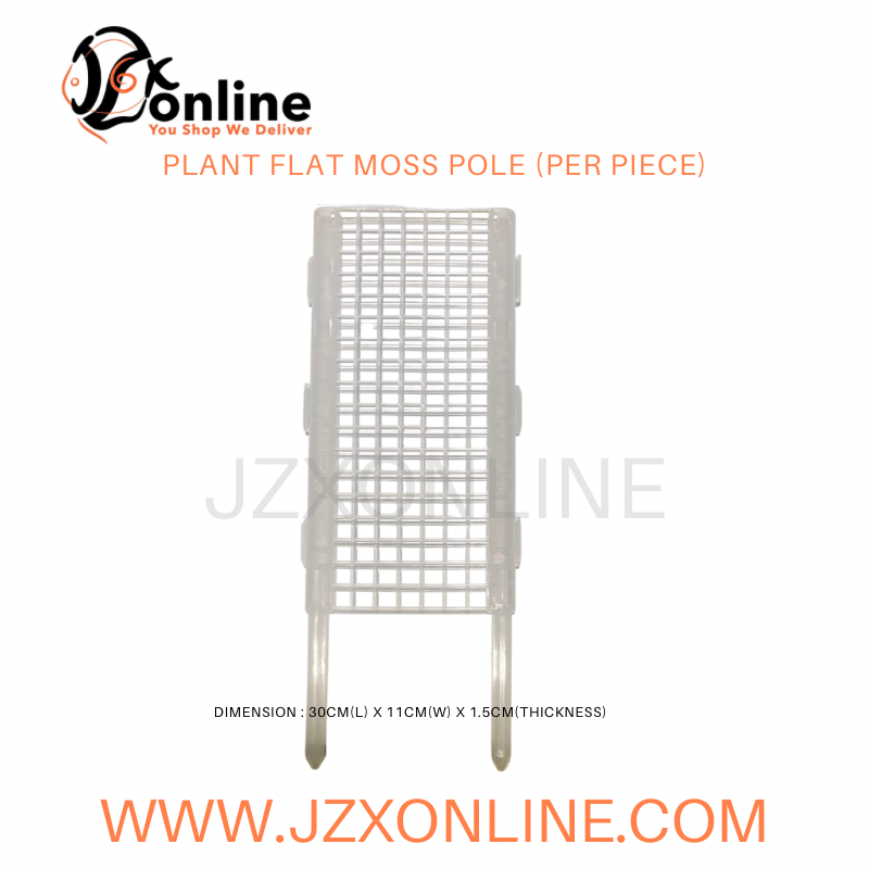flat moss pole JZX Plant Flat Moss Pole (Per Piece) — jzxonline