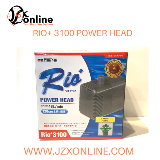 RIO+ 3100 Water Pump (3420/hr)