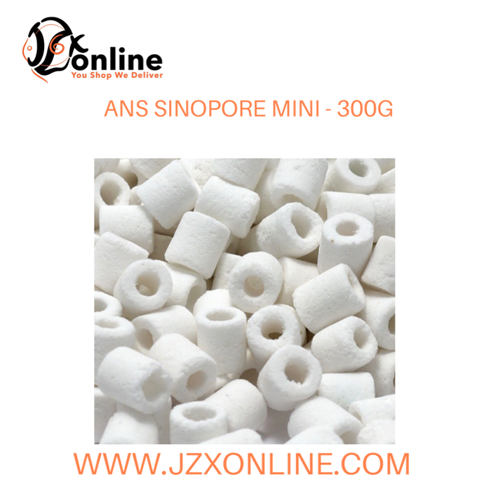 ANS Sinopore Mini with filter bag - 300g