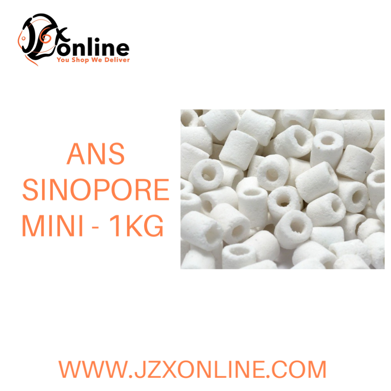 ANS Sinopore Mini - 1kg (Filter Media)
