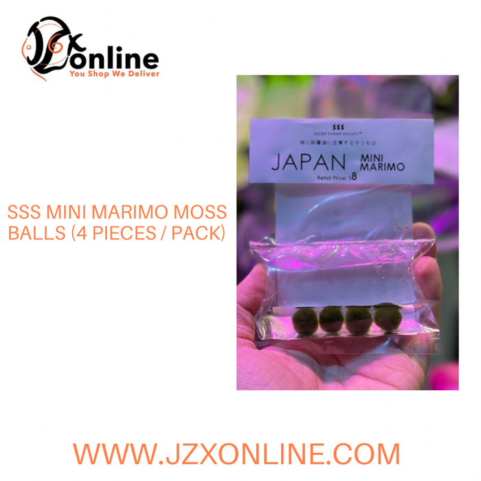 SSS Mini Marimo Moss Balls (4 pieces / pack)