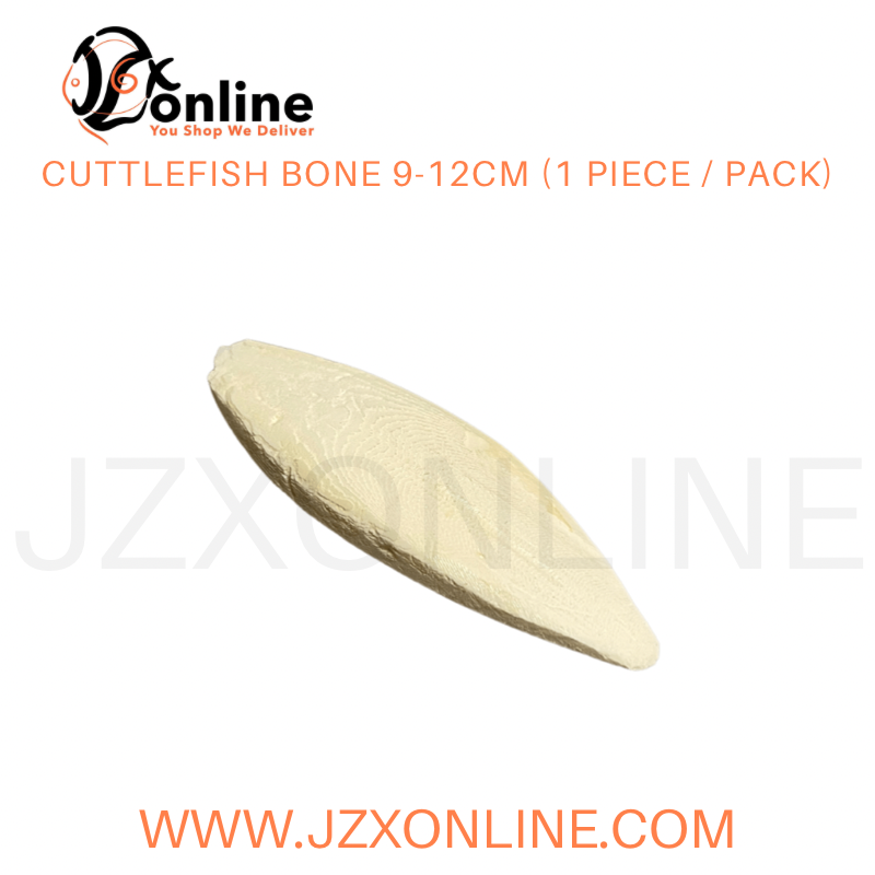Cuttlefish Bone 9-12cm (1 piece / pack)