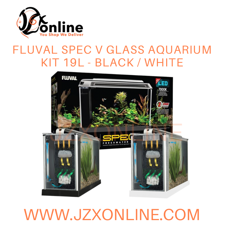 FLUVAL Spec V Glass Aquarium Kit 19L - Black / White
